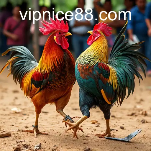 Exploring the Thrilling World of Sabong Games with Nice88